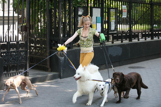 Evan Rachel Wood in 'Whatever Works.'