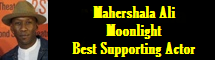 2017 Oscar Nominee - Mahershala Ali - Best Supporting Actor - Moonlight