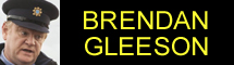  Brendan Gleeson interview about 'The Guard.'